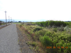 DSCN4383.JPG