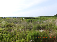 DSCN4384.JPG