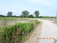 DSCN4386.JPG