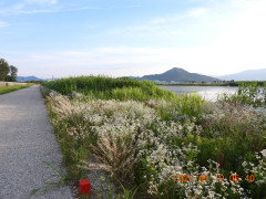 DSCN4355.JPG