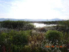 DSCN4356.JPG
