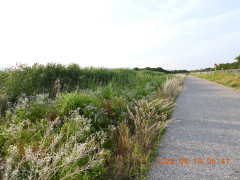 DSCN4357.JPG