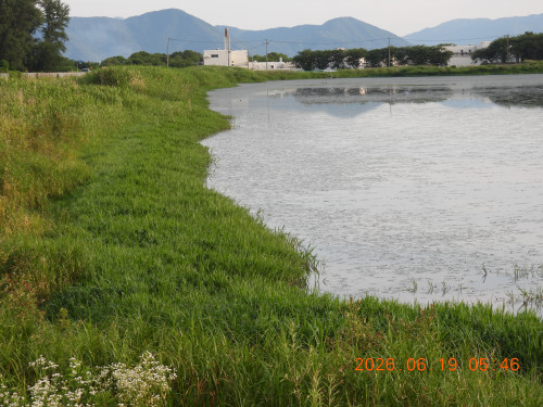 DSCN4359.JPG