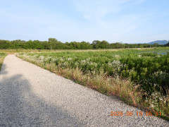 DSCN4360.JPG