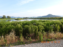 DSCN4361.JPG