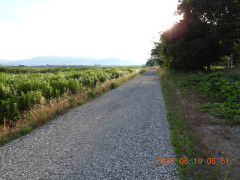 DSCN4362.JPG