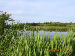 DSCN4369.JPG