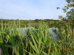 DSCN4370.JPG