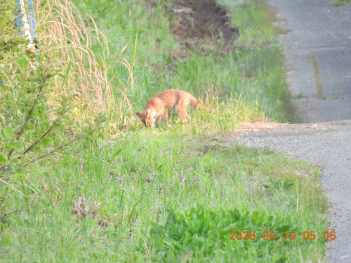 DSCN4331.JPG