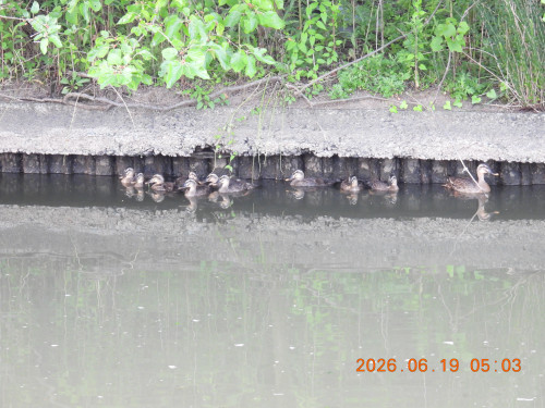 DSCN4326.JPG