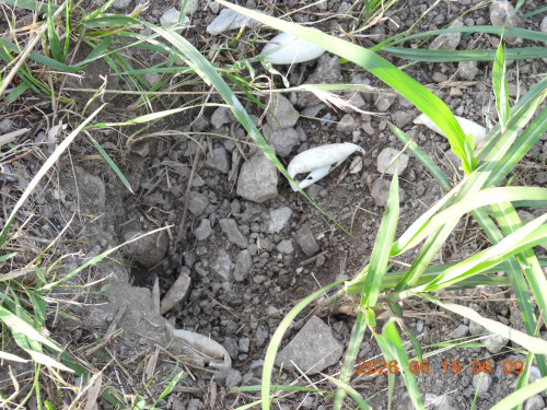 DSCN4371.JPG