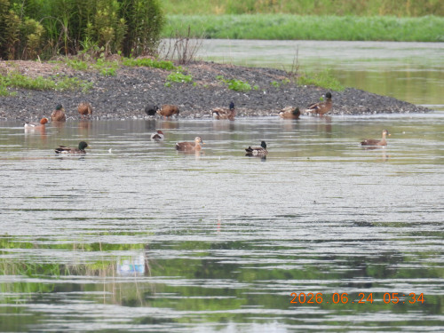 DSCN4399.JPG