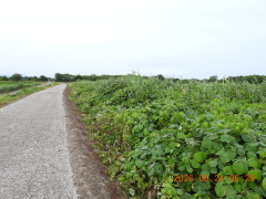 DSCN4394.JPG