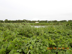 DSCN4395.JPG
