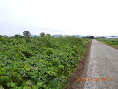 DSCN4396.JPG