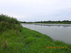 DSCN4451.JPG