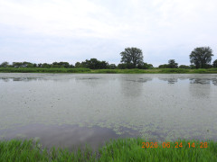 DSCN4452.JPG