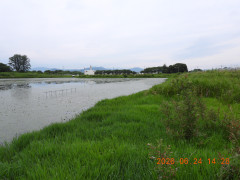 DSCN4453.JPG