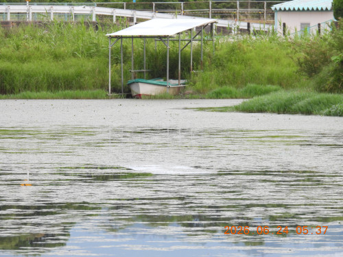 DSCN4406.JPG