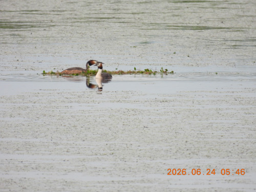 DSCN4415.JPG