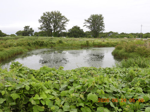 DSCN4407.JPG