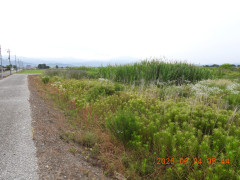 DSCN4412.JPG