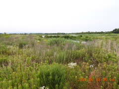 DSCN4413.JPG