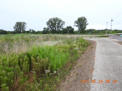 DSCN4414.JPG