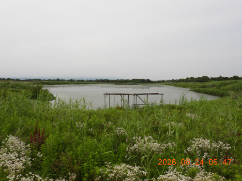DSCN4416.JPG