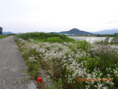 DSCN4425.JPG