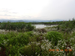 DSCN4426.JPG