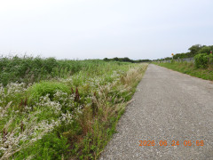 DSCN4427.JPG