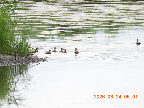 DSCN4430.JPG