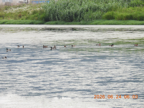 DSCN4431.JPG