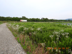 DSCN4432.JPG