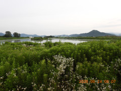 DSCN4433.JPG
