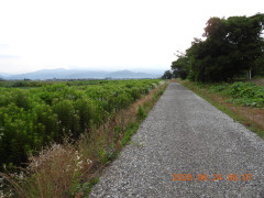 DSCN4434.JPG