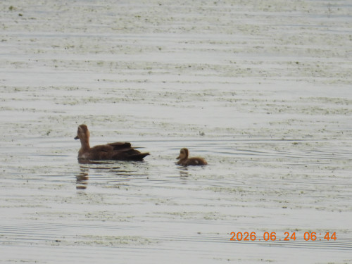 DSCN4448.JPG