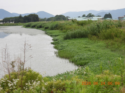 DSCN4435.JPG