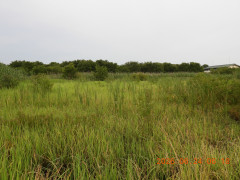 DSCN4437.JPG