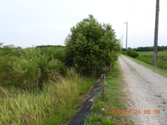 DSCN4438.JPG