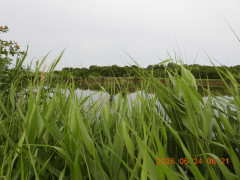 DSCN4439.JPG