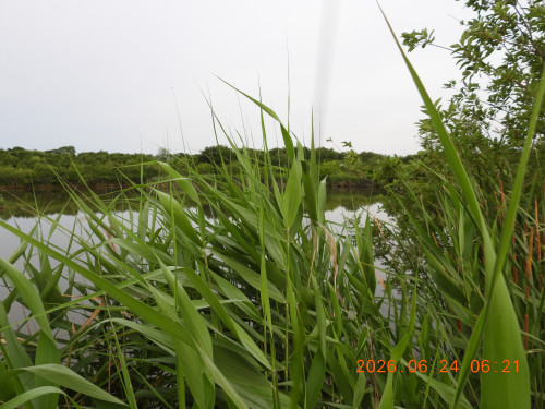 DSCN4440.JPG