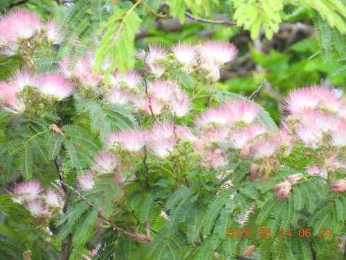 DSCN4442.JPG