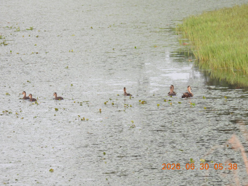DSCN4469.JPG