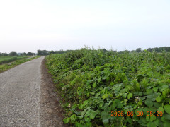 DSCN4455.JPG