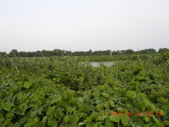 DSCN4456.JPG