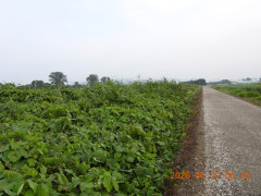 DSCN4457.JPG