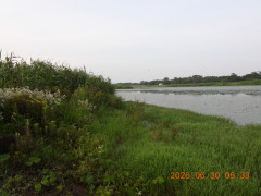 DSCN4458.JPG