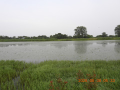 DSCN4459.JPG